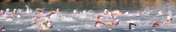 cropped-2009-biathlon-sea-swim.jpg